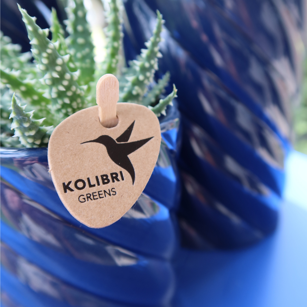 Kolibri Home | Candy Dekotopf | Hoch - Blue - Ø9cm