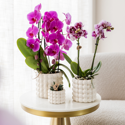 Kolibri Home | Poppy Ziertopf - White - Ø12cm