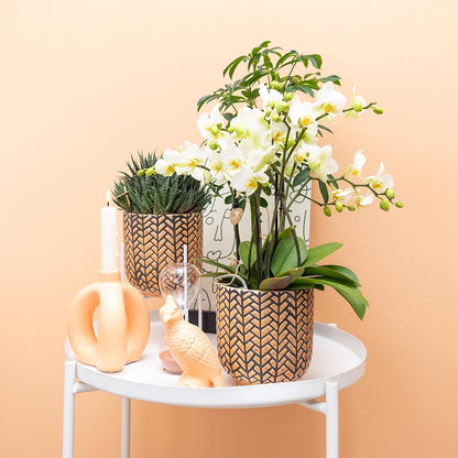 Kolibri Home | Ornament - Deko-Skulptur Kakadu - Peach