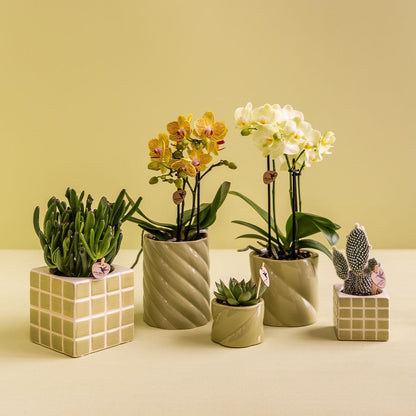 Kolibri Home | Candy Dekotopf | Hoch - Green - Ø9cm