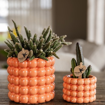 Kolibri Home | Poppy Ziertopf - Orange - Ø9cm