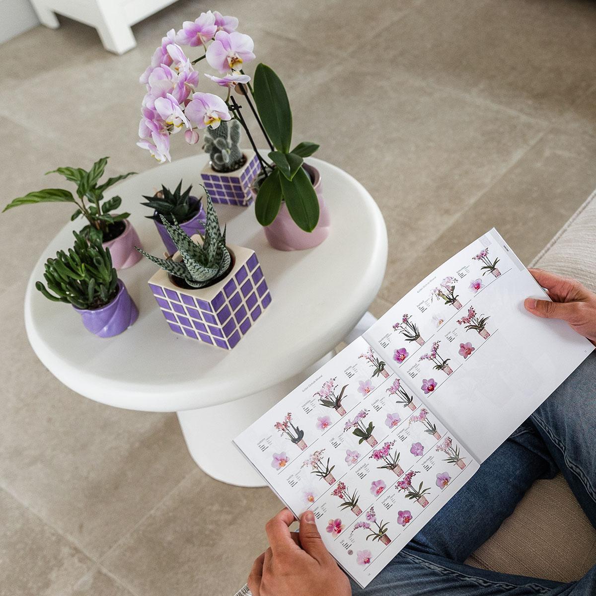 Kolibri Home | Candy Dekotopf - Lilac - Ø6cm