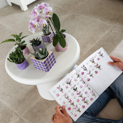 Kolibri Home | Candy Dekotopf - Lilac - Ø6cm