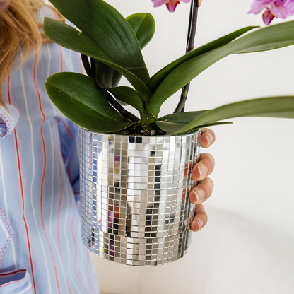 Johanna mit Disco Übertopf