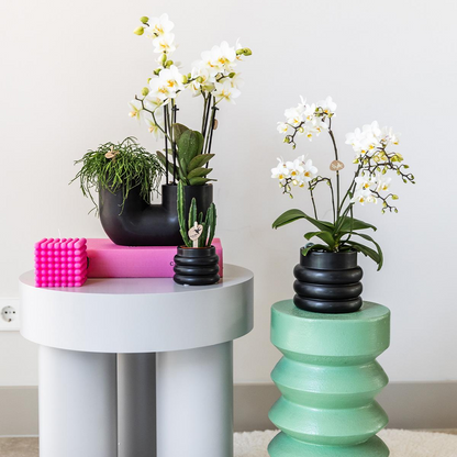 Kolibri Home | Bubble black - Ø9cm
