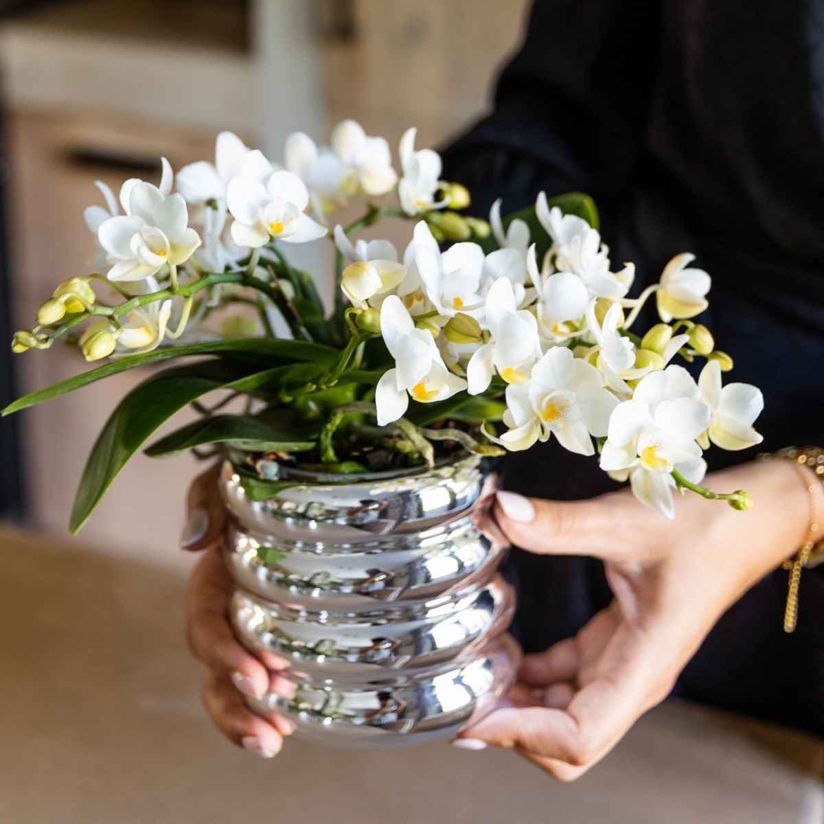 Kolibri Home | Glow Übertopf - Silber - Ø9cm