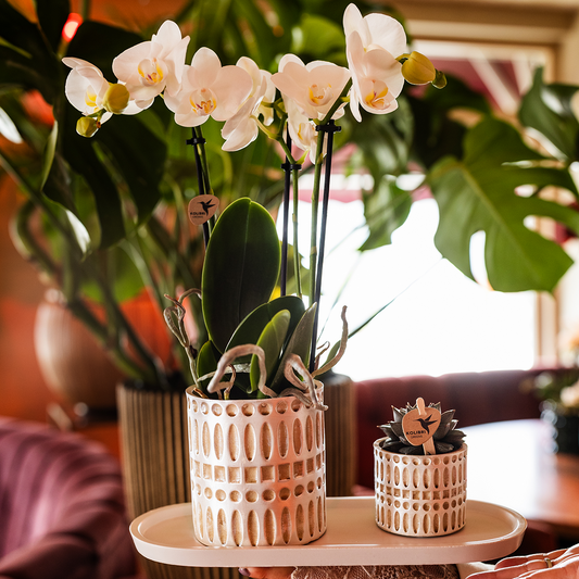 Kolibri Home | Ovales Tablett - Resin