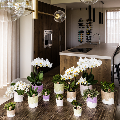 Kolibri Home | Bloom sierpot - Lila - Ø9cm