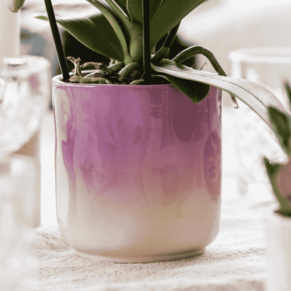 Kolibri Orchids | Violette Phalaenopsis Orchidee - Mineral Vienna im Gradience Übertopf Lila mit Geschenkbox - Ø9 cm