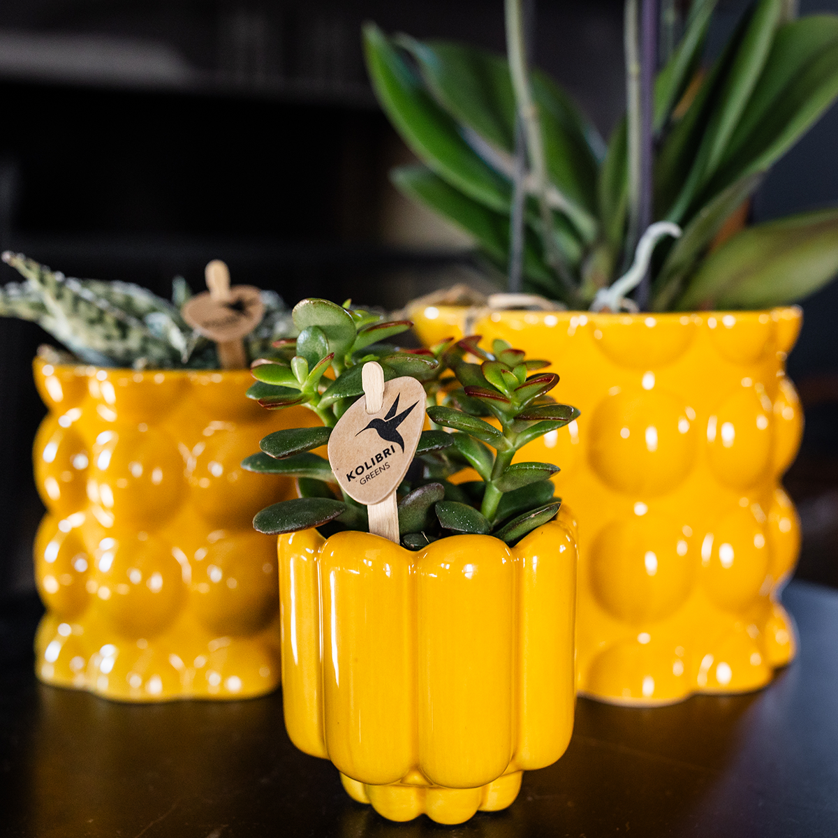 Kolibri Home | Retro Shine Übertopf - Yellow - Ø6cm