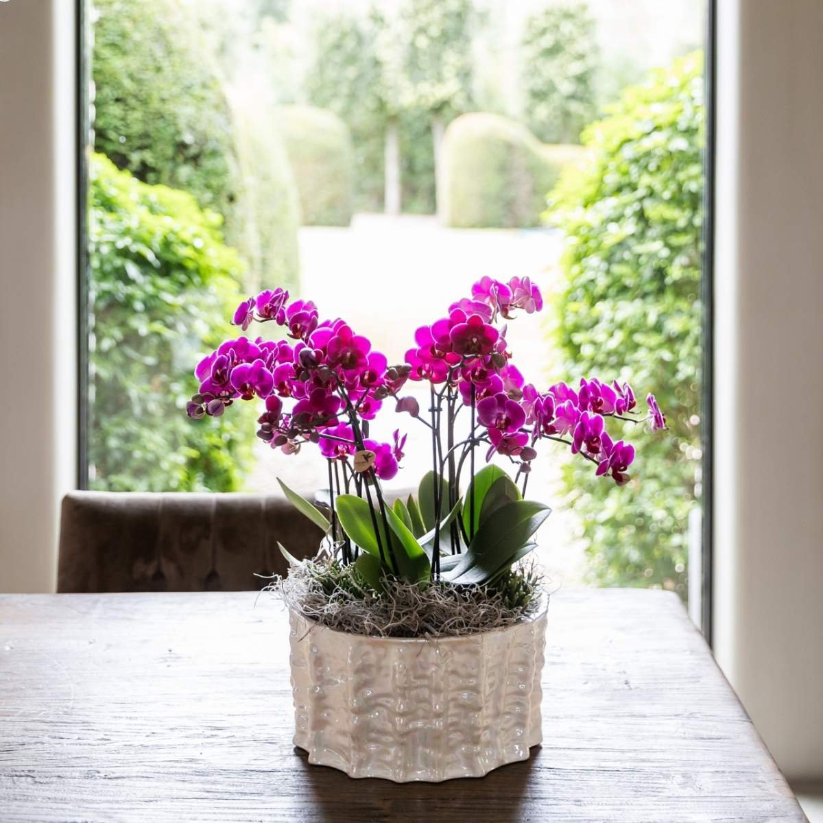 Kolibri Home | Oyster Schale - Ø30 cm