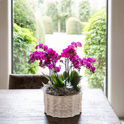 Kolibri Home | Oyster Schale - Ø30 cm