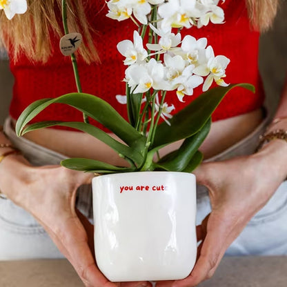 Kolibri Home | You Are Cute Übertopf - Ø9cm