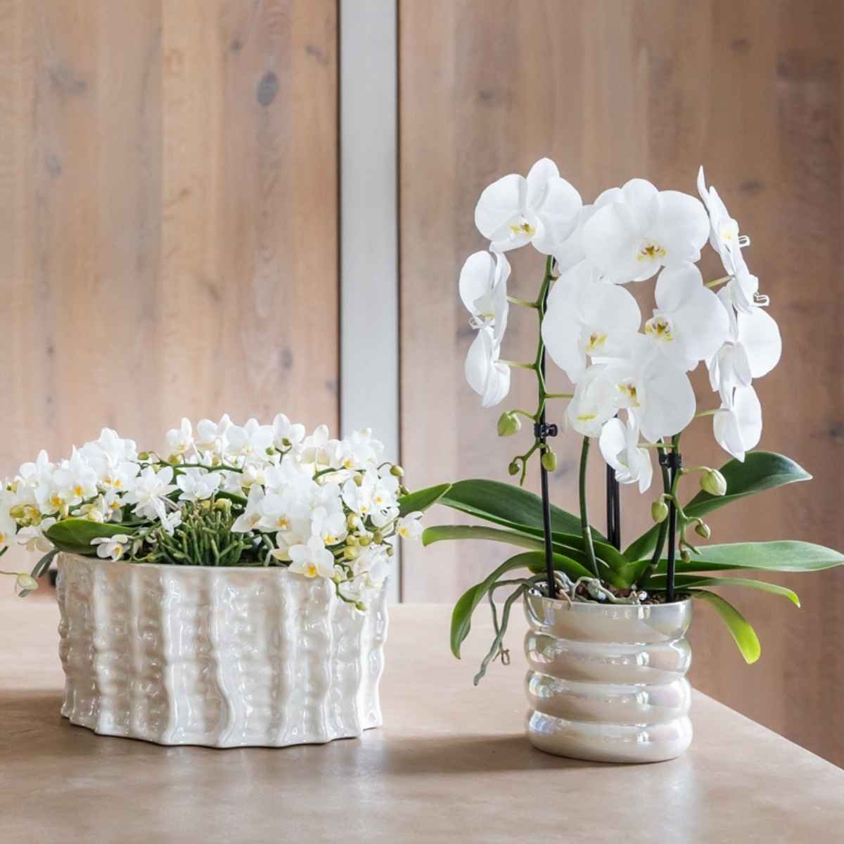 Kolibri Home | Glow Übertopf - Travertin - Ø12cm