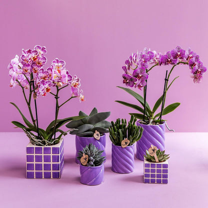 Kolibri Home | Candy Dekotopf - Lilac - Ø6cm