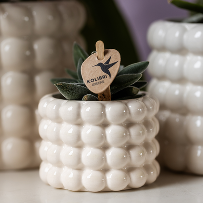 Kolibri Home | Poppy Ziertopf - White - Ø6cm