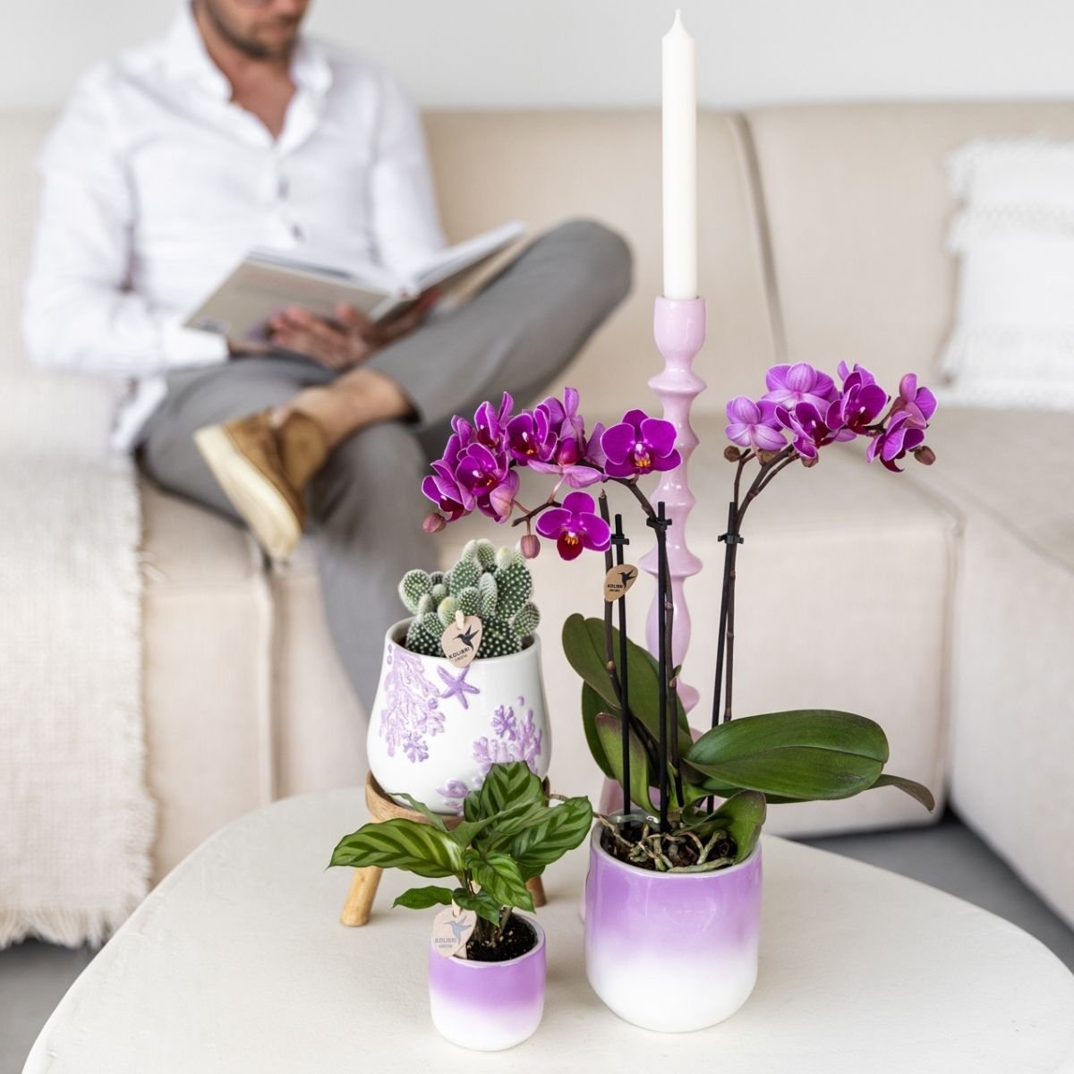 Kolibri Home | Gradience Übertopf - Violett - Ø6cm