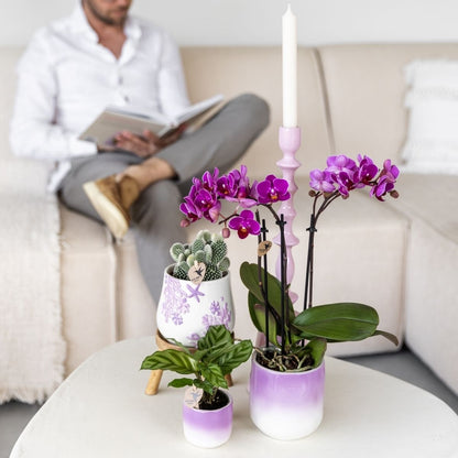 Kolibri Home | Gradience Übertopf - Violett - Ø6cm