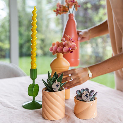 Kolibri Home | Candy Dekotopf | Hoch - Peach - Ø6cm