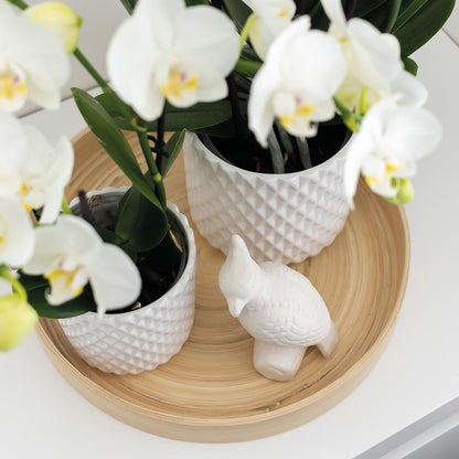 Kolibri Home | Ornament - Deko-Skulptur Kakadu - White