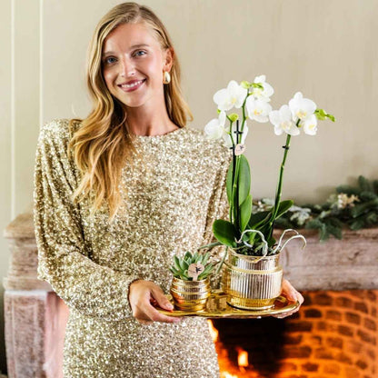 Kolibri Home | Allure Empire Shiny Übertopf - Gold - Ø6cm