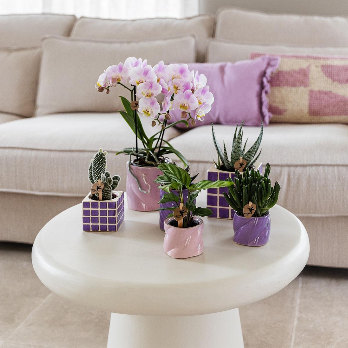Kolibri Home | Candy Dekotopf - Pink - Ø9cm