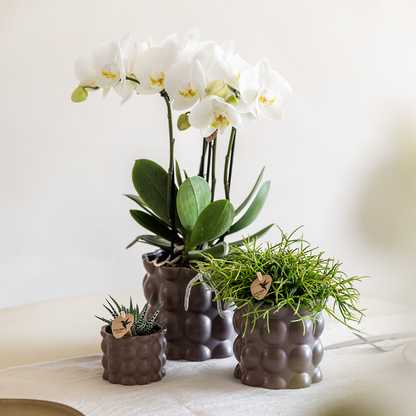 Kolibri Home | Cotton sierpot - Brown - Ø6cm