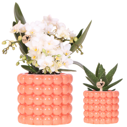 Set Poppy Orange Leonor