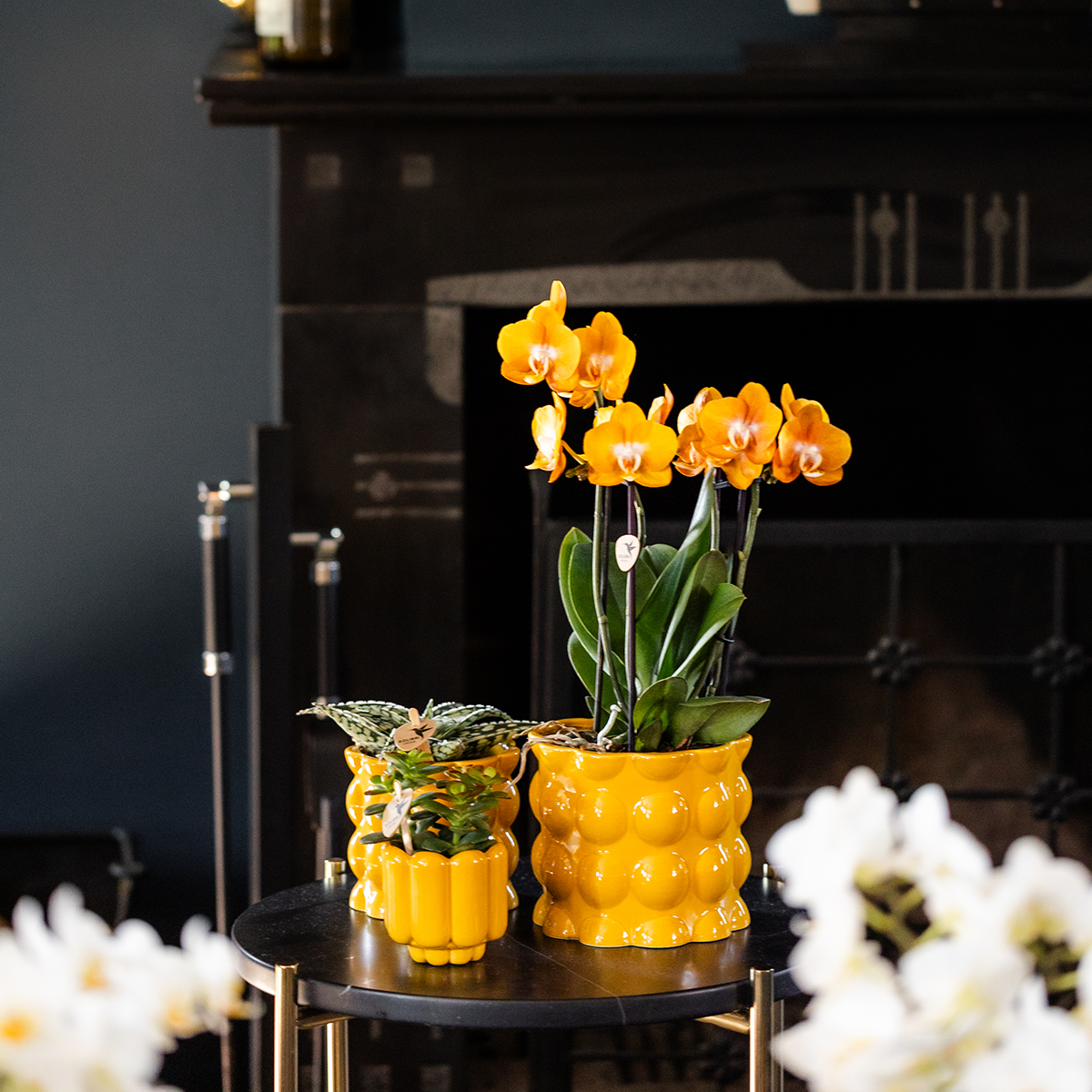 Kolibri Home | Cotton Shine Übertopf - Yellow - Ø12cm