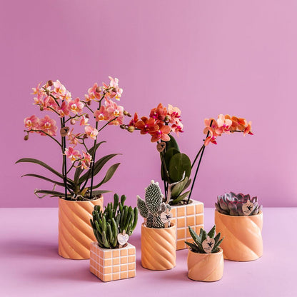 Kolibri Home | Candy Dekotopf | Hoch - Peach - Ø6cm