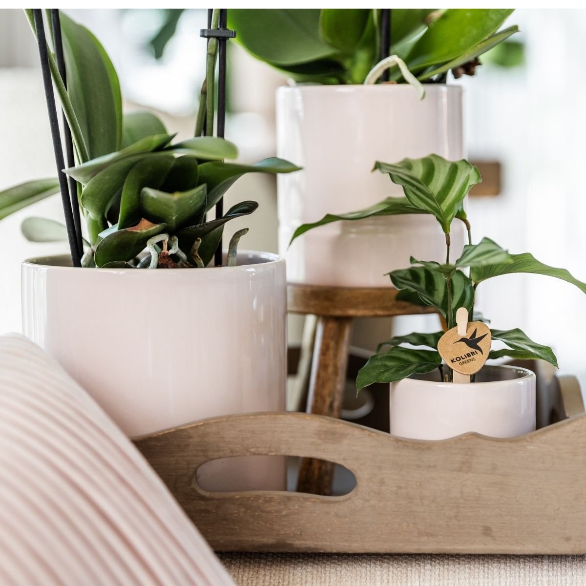 Kolibri Home | Pastel Übertopf - Rosa