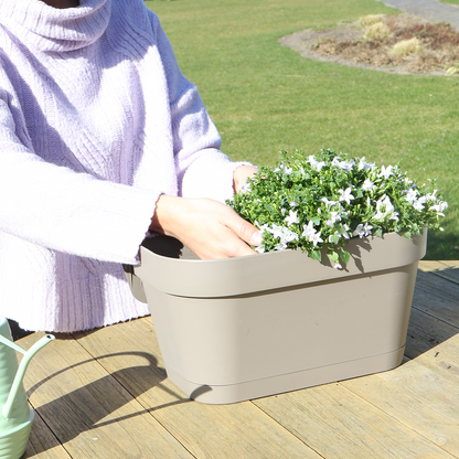 Campanula Addenda Ambella weiß - Balkonpflanzer taupe mit 3 Stück Campanula Topfgröße 12cm - Inkl. Aufhängesystem - Glockenblume weiß - Stauden - Gartenpflanzen
