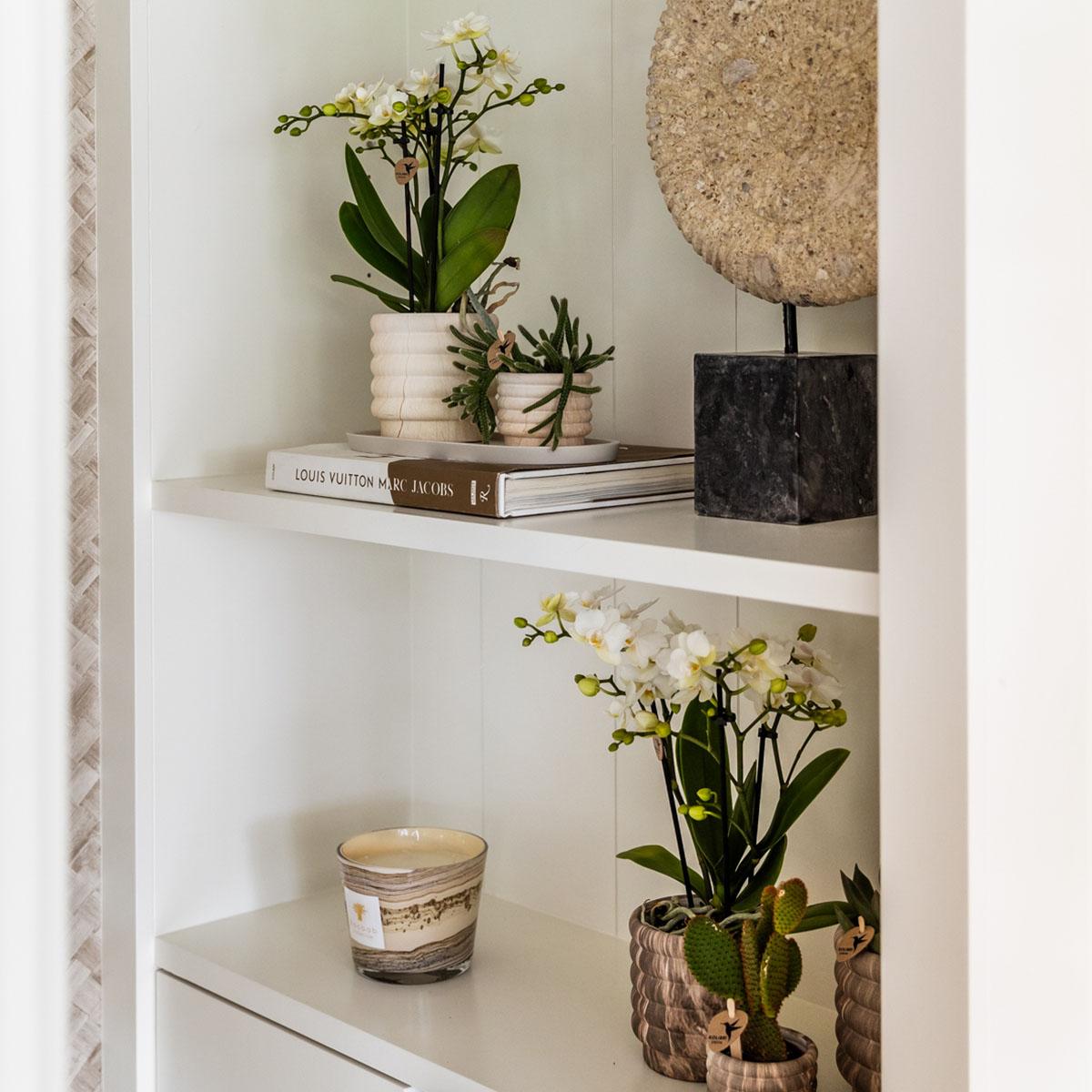 Kolibri Home | Marmor-Topf - Light - Ø6cm