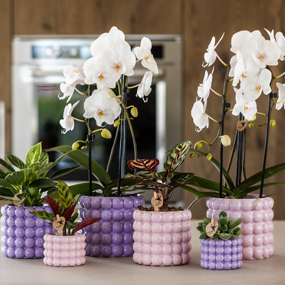 Kolibri Home | Poppy Ziertopf - Pink - Ø9cm