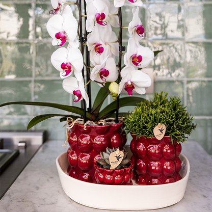 Kolibri Home | Cotton Shine Übertopf - Red - Ø6cm