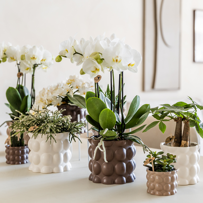 Kolibri Home | Cotton sierpot - Sand - Ø12cm