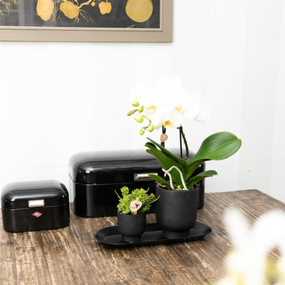 Kolibri Home | Teller oval - Ovales Tablett Ø30cm - Black