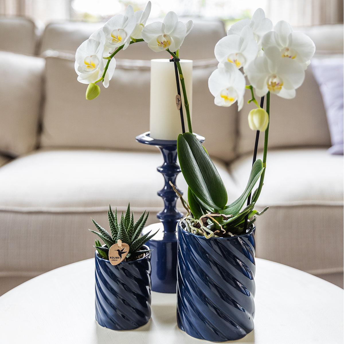 Kolibri Home | Candy Dekotopf | Hoch - Blue - Ø9cm