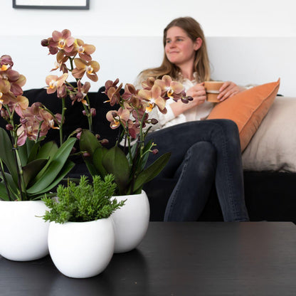 Kolibri Home | Bowl Übertopf