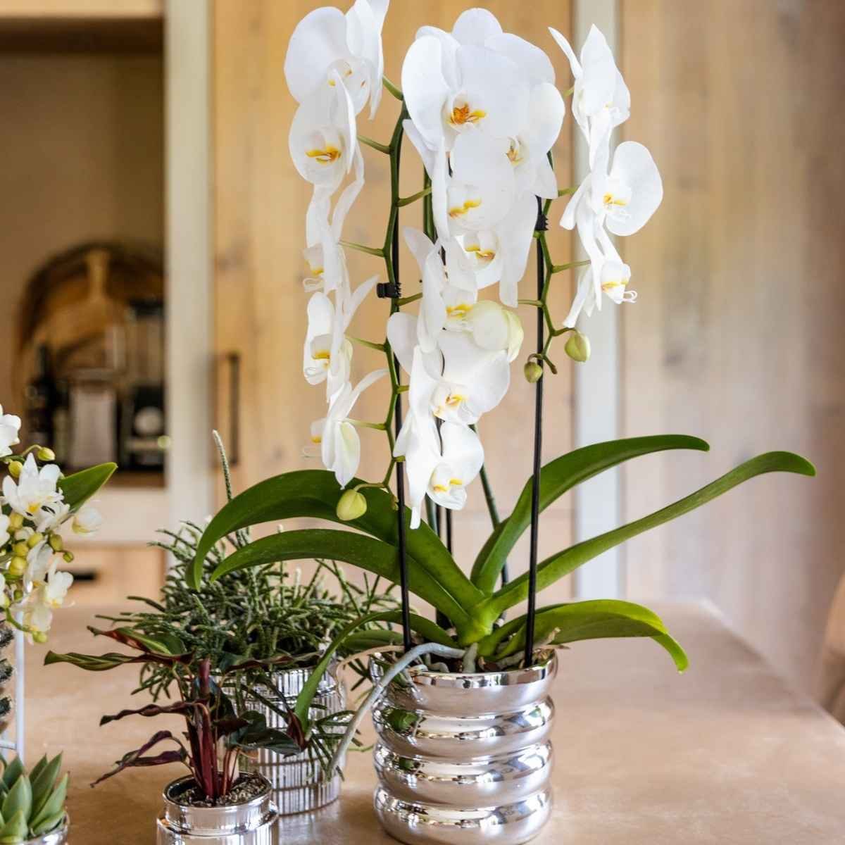 Kolibri Home | Glow Übertopf - Silber - Ø12cm