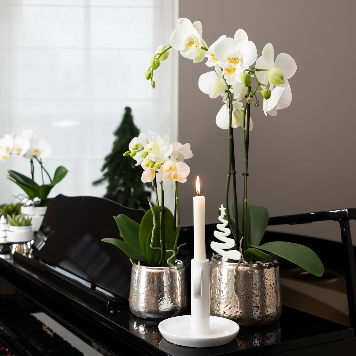 Kolibri Home | Luxuriöser Blumentopf - Silberner Keramiktopf - Ø6cm