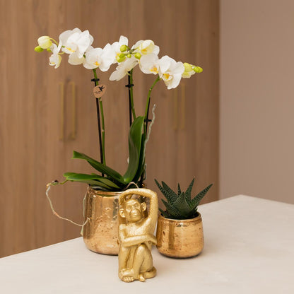 Kolibri Home | Luxuriöser Blumentopf - Goldener Keramiktopf - Ø9cm