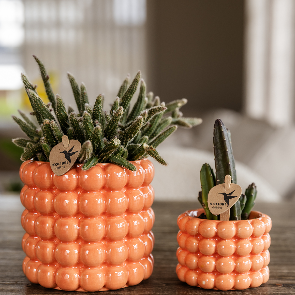 Kolibri Home | Poppy Ziertopf - Orange - Ø6cm