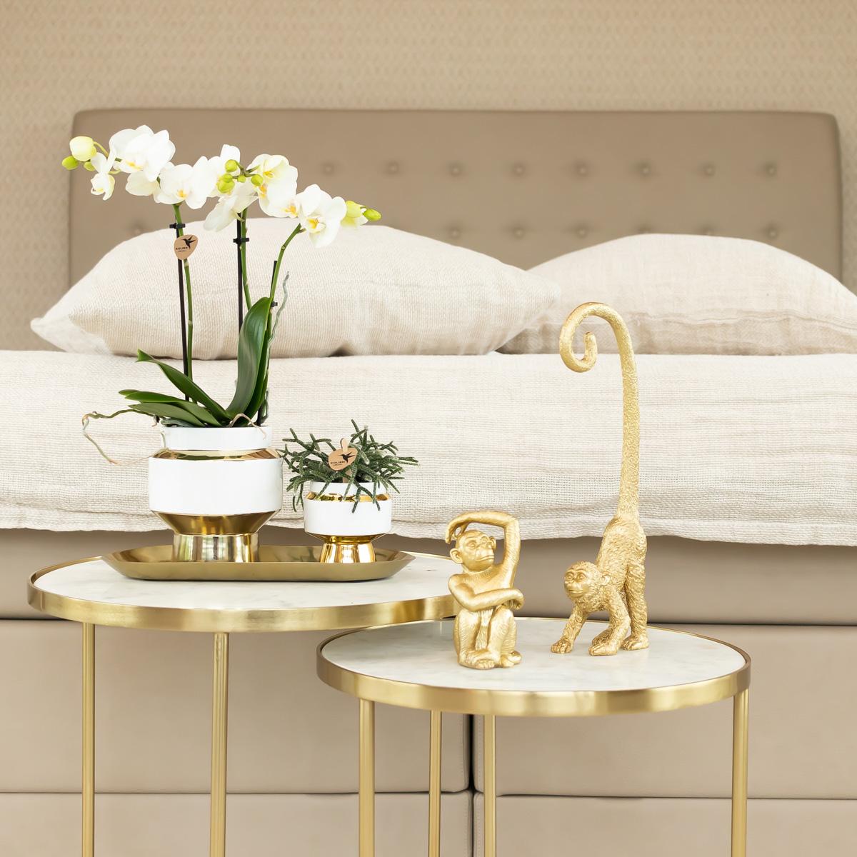 Kolibri Home | Teller oval - Ovales Tablett Ø30cm - Gold