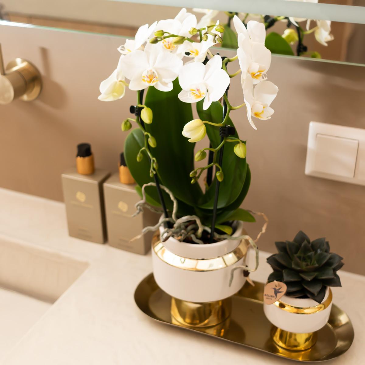 Kolibri Home | Le Chic Übertopf - Gold - Ø6cm