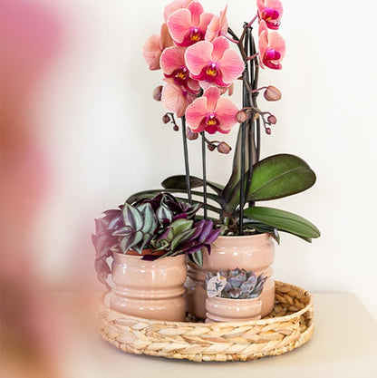 Kolibri Home | Noma Übertopf - Oudroze - Ø6cm