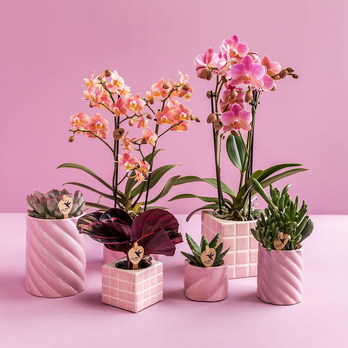 Kolibri Home | Candy Dekotopf | Hoch - Pink - Ø9cm