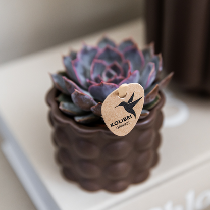Kolibri Home | Cotton sierpot - Brown - Ø6cm