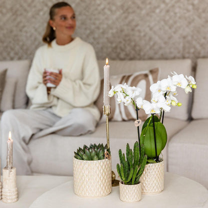 Kolibri Home | Diamond Pearl Dekotopf - Travertine - Ø6cm