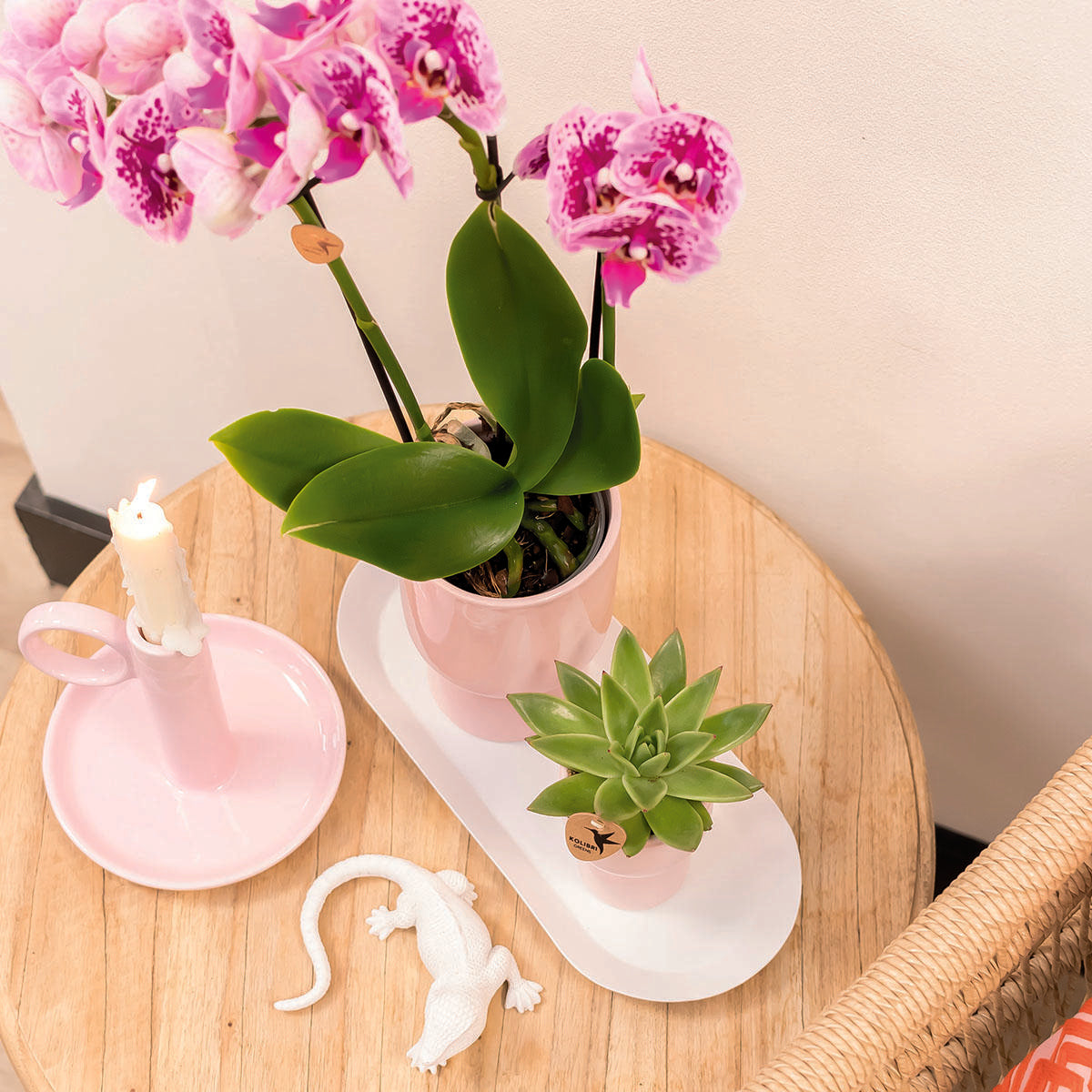 Kolibri Home | Teller oval - Ovales Tablett Ø30cm - White